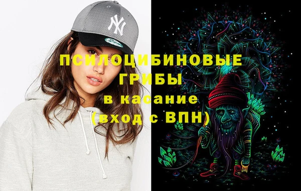 ECSTASY Медвежьегорск