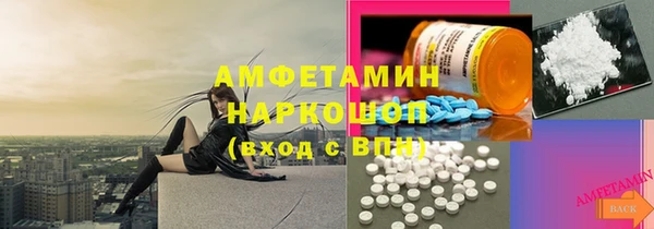 индика Бронницы