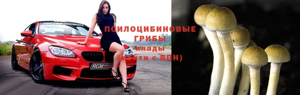 ECSTASY Медвежьегорск