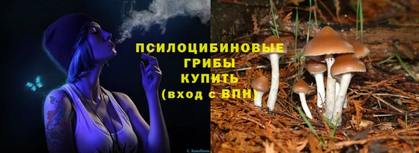 ECSTASY Медвежьегорск