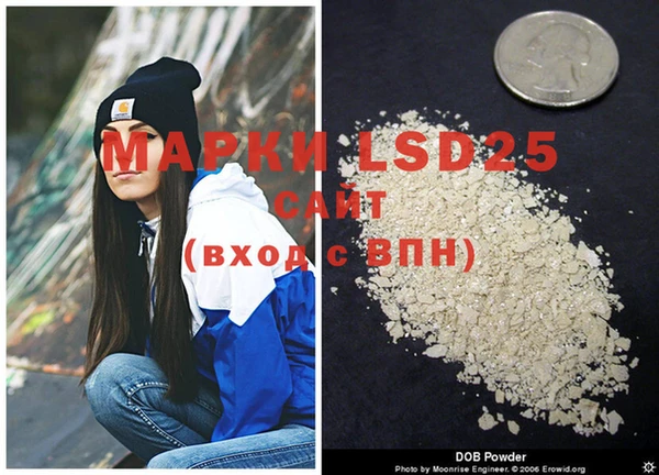 ECSTASY Медвежьегорск