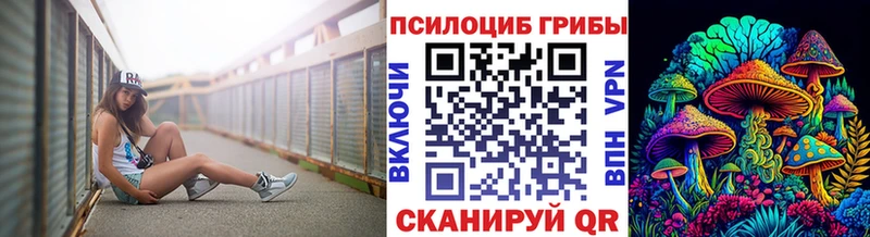 купить закладку  Чехов  Псилоцибиновые грибы Cubensis 